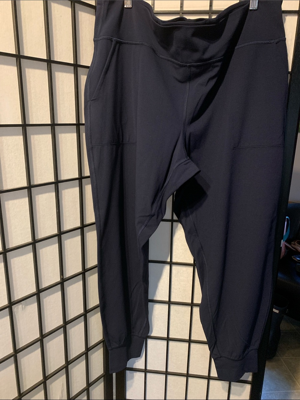 Lululemon Navy Women's Jogger Pants Size 20